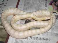 上海舜娟企业管理有限公司